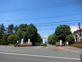 私立札幌大学