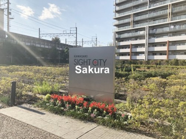 川崎サイトシティ公開空地情報ページ 横浜 川崎の賃貸マンションのことなら株式会社さくらスタイル 川崎サイトシティ公開空地情報ページ 横浜 川崎の賃貸マンションのことなら株式会社さくらスタイル