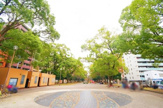 横浜大通り公園