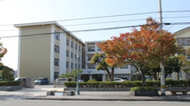 今治市立日吉中学校