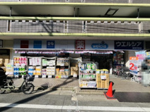 ウエルシア練馬早宮店