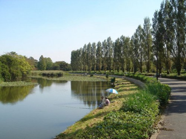 水元公園の画像1