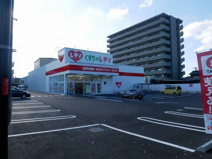 くすりのレデイ 南宝来店