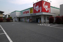 スギ薬局 関町北店