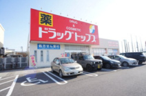 ドラッグトップス 新通店