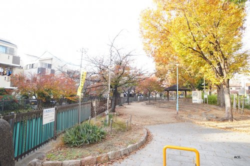 の画像