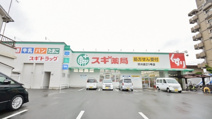 スギドラッグ 渋川店