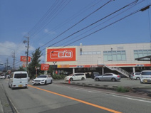 ザ・ビッグ 静岡新伝馬店