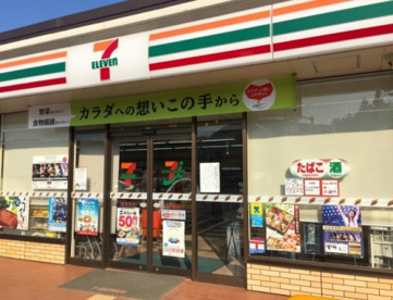 セブンイレブン ときがわ町玉川店の画像1
