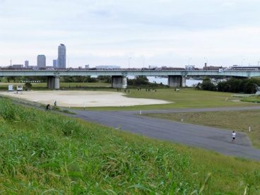 荒川鹿浜橋緑地の画像1
