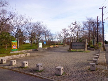 鳥屋野潟公園の画像1