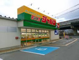 ディスカウントセンター ジャパン 生野店