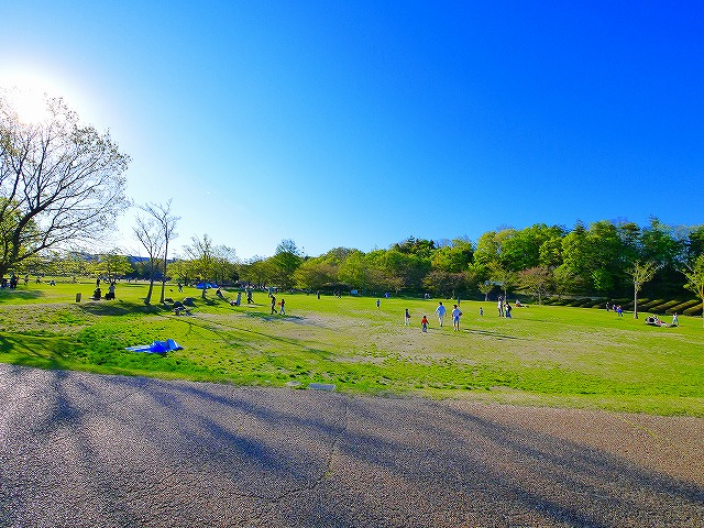 けいはんな記念公園 京都府立関西文化学術研究都市記念公園 写真 アクセス 営業時間 奈良賃貸のマサキ