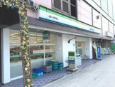 ファミリーマート 近鉄八尾駅前店