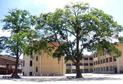 京都市立北野中学校の画像1