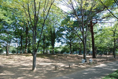 府中の森公園の画像1