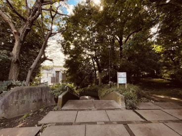早淵の森緑地の画像2