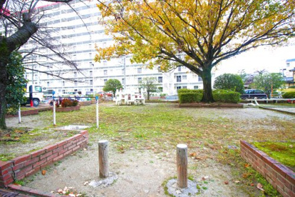 桂川ハイツ5号棟ちびっこ広場の画像1