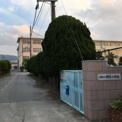 野芥小学校