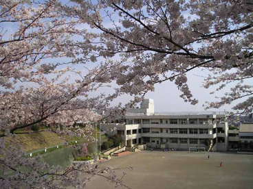 座間市立中原小学校の画像1