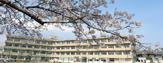 藤沢市立大清水中学校