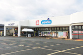 ウェルシァ新潟太夫浜店