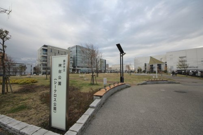 藤沢市立神台公園の画像1