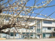 松戸市立馬橋小学校の画像