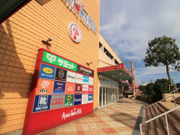 サミットストア 綾瀬タウンヒルズ店の画像1