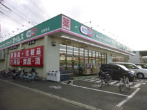 ドラッグセイムス 綾瀬南店