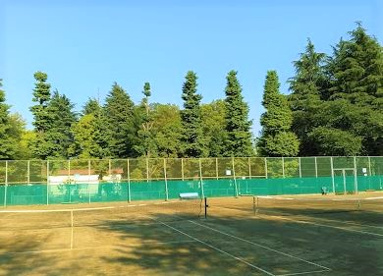 大南公園テニスコートの画像1