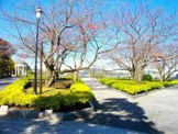 横須賀市 はまゆう公園