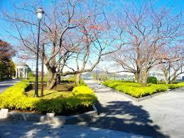 横須賀市 はまゆう公園の画像1