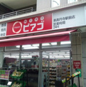 mini(ミニ)ピアゴ 東高円寺駅前店