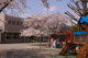 市ケ尾幼稚園の画像