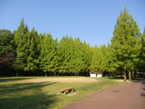 赤坂公園