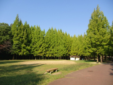 赤坂公園の画像1