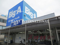 ビッグ・エー 習志野袖ヶ浦団地店