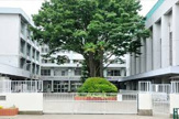練馬区立関中学校