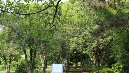 においの森(大阪城公園)の画像1