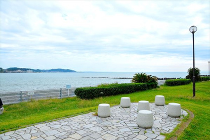 鎌倉海浜公園の画像1