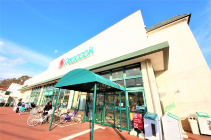 ピーコックストア 国立弁天通り店の画像1