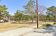 曽根松原公園の画像