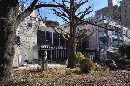 スターバックスコーヒー 国立店の画像1