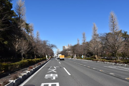 国立駅南大学通の画像1