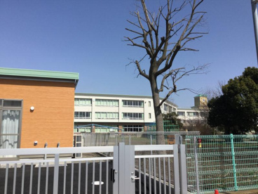 寒川町立南小学校の画像1