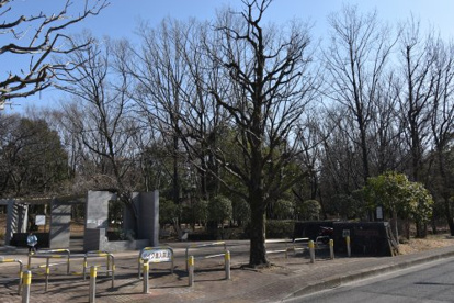 府中の森公園の画像1