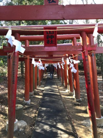 新屋山神社（あらややまじんじゃ）の画像1