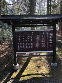 新屋山神社（あらややまじんじゃ）の画像3