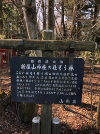 新屋山神社（あらややまじんじゃ）の画像4